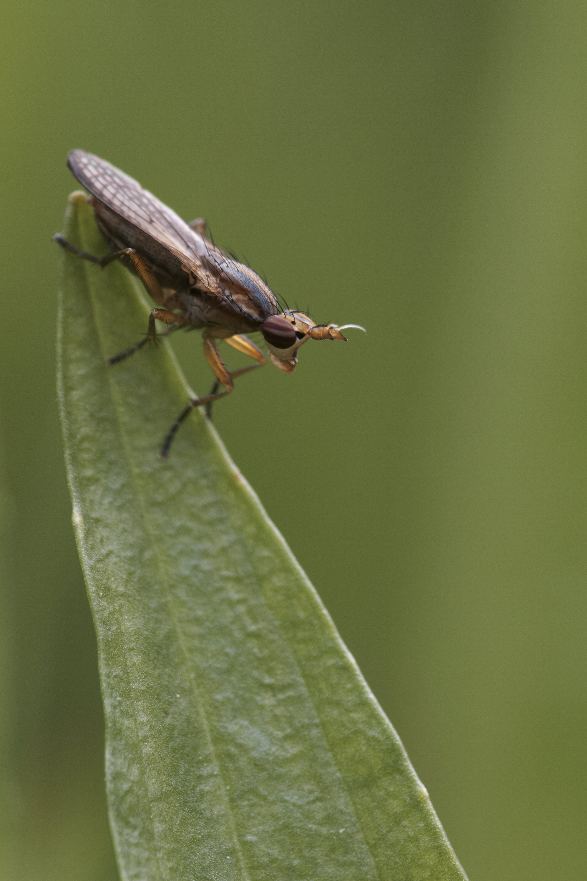 2012 08 05   IMG 7247